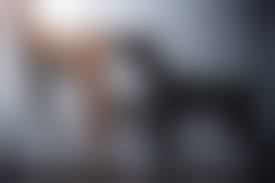 woman fuck dog|Dog fucks ass teen