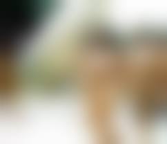 Purenudism beauty pageant|We found a SECRET NUDIST BEACH (Cornwall UK Travel Vlog) - YouTube