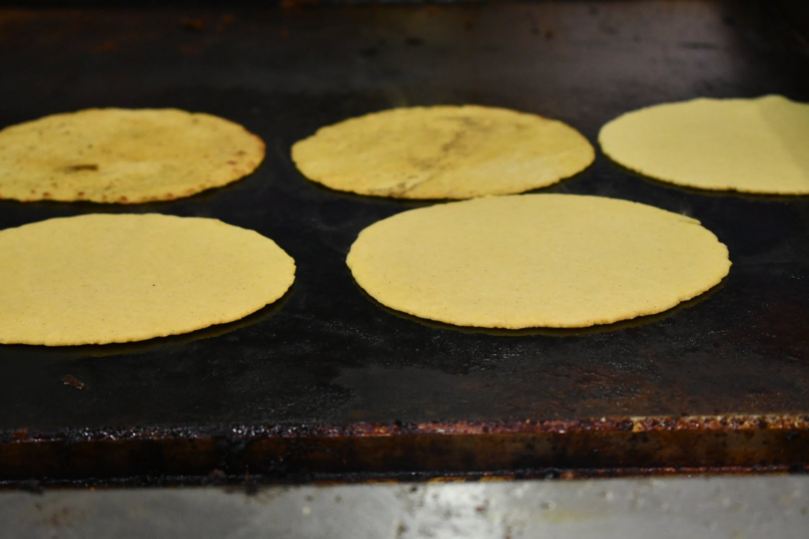 Taco Dudes & Caribbean by null