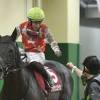 【菊花賞予想】開催コース阪神替わりで異変あるか？ 馬券可能性 ...