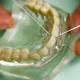 To floss or not to floss: NL dentist challenges naysayers 