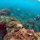 Great Barrier Reef damage: New images released 