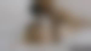 white teens blacked|Sweet white girl Carolina Sweets gets blacked HARD / Teen Porno XXX