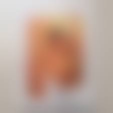 倉橋のぞみ写真集vol.1|Yahoo!オークション -「倉橋のぞみ写真集」の落札相場・落札価格