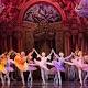 What's on in Adelaide 