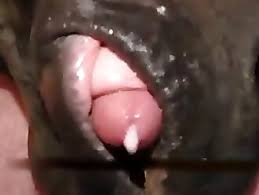 Mujer teniendo sexo con perro animales com video porno extremo mas favorito luxuretv jpg x Mujeres cojiendo con animales