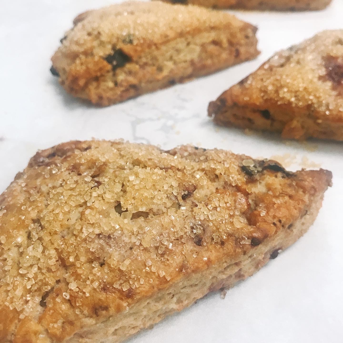 Tout de Sweet Pastry Shop by null