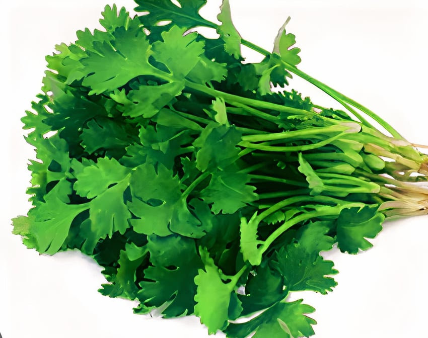 Carla's Fresh Market by null