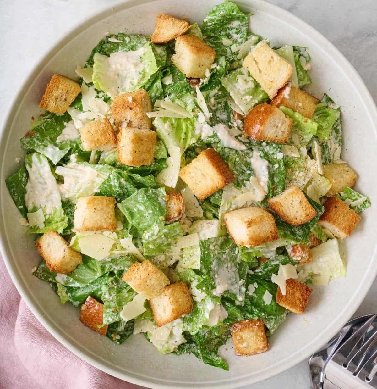 Good Dog Bar by null