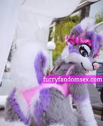 Cute fursuit bottom moans cutely for top jpg x Fursuit fuck