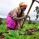 Adopt climate-smart agric to ensure food security