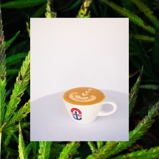 Barista Parlor Marathon Village by null