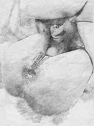 Anal sex study reveals climate jpg x Unwanted anal sex