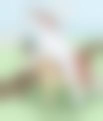 beastiality horse anal sex|Double anal-ballsdeep-horsecock penetration by Vaesark - Hentai Foundry