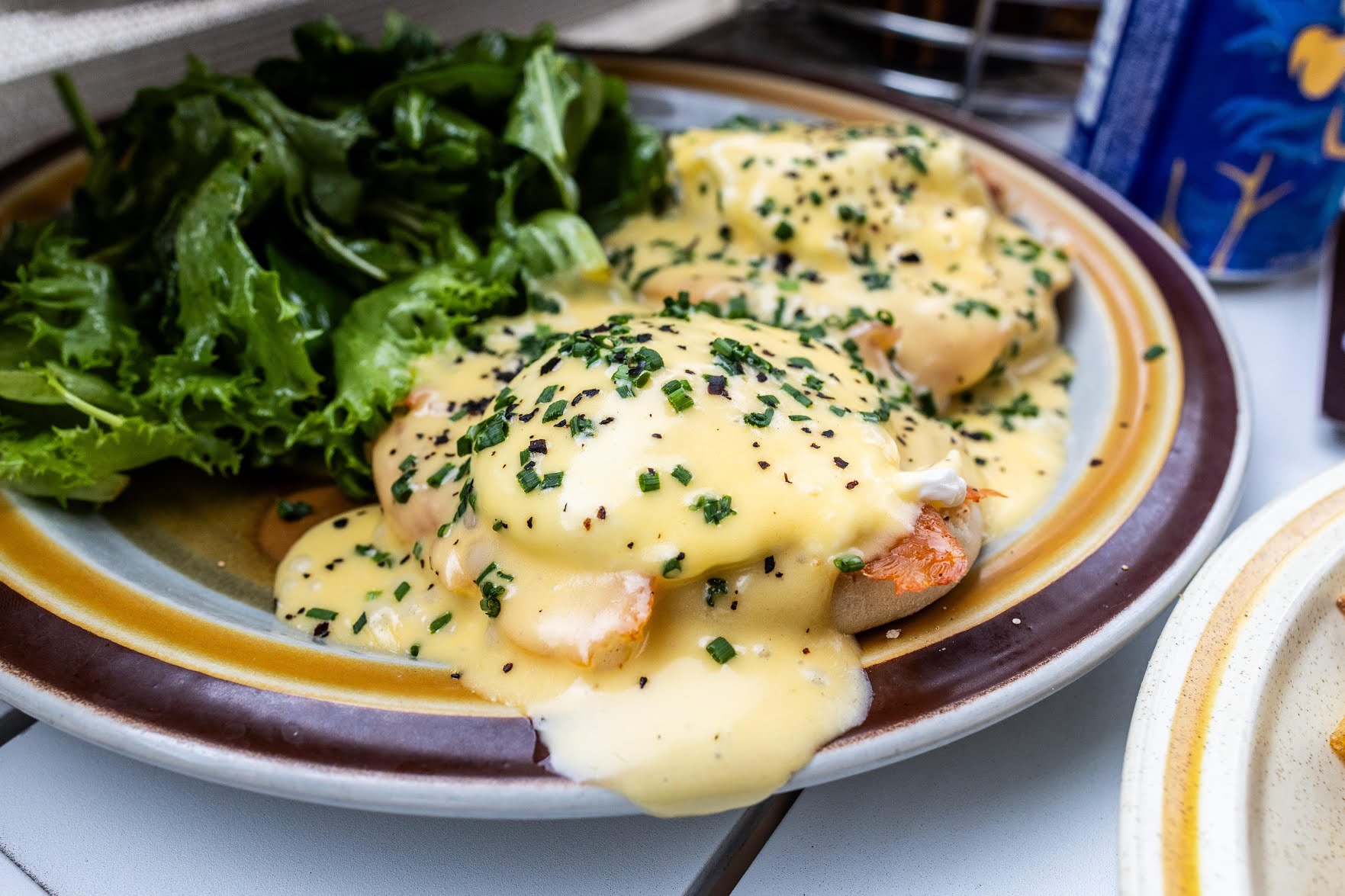 Toasty Badger by null