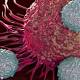 T-Cell Therapy for Cancer: Progress Reported 
