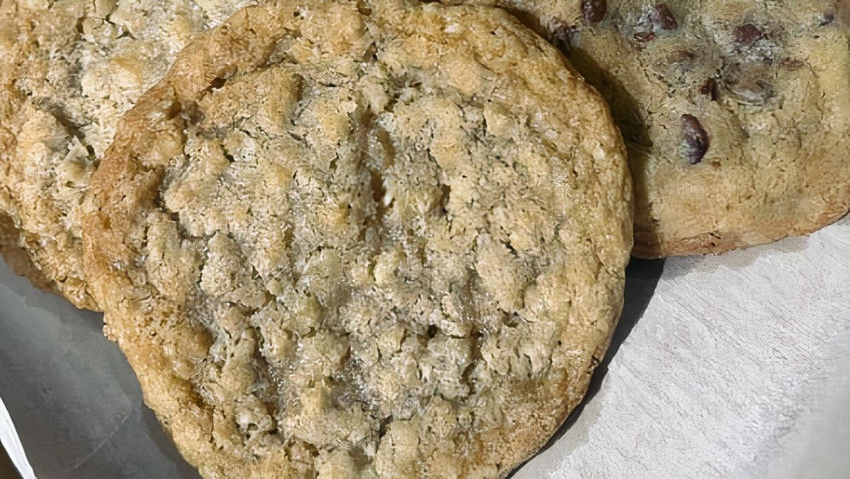 The Dough Co. by null