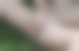 clitoris nude teen closeup|Clit Close Upエロ画像-PornPics.com