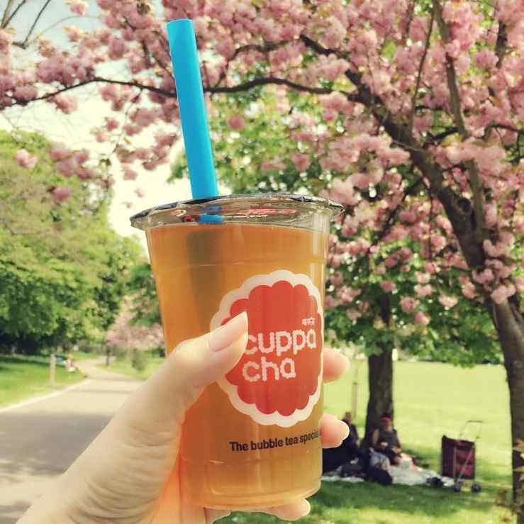 Cuppacha Bubble Tea - Chinatown Store by null