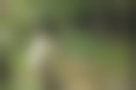 広本さとみヌード写真|廣元さとみヌード廣元さとみヌード 投稿画像 | Free Hot Nude ... 画像ﾀﾞｳﾝﾛｰﾄﾞ