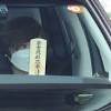 昭恵夫人