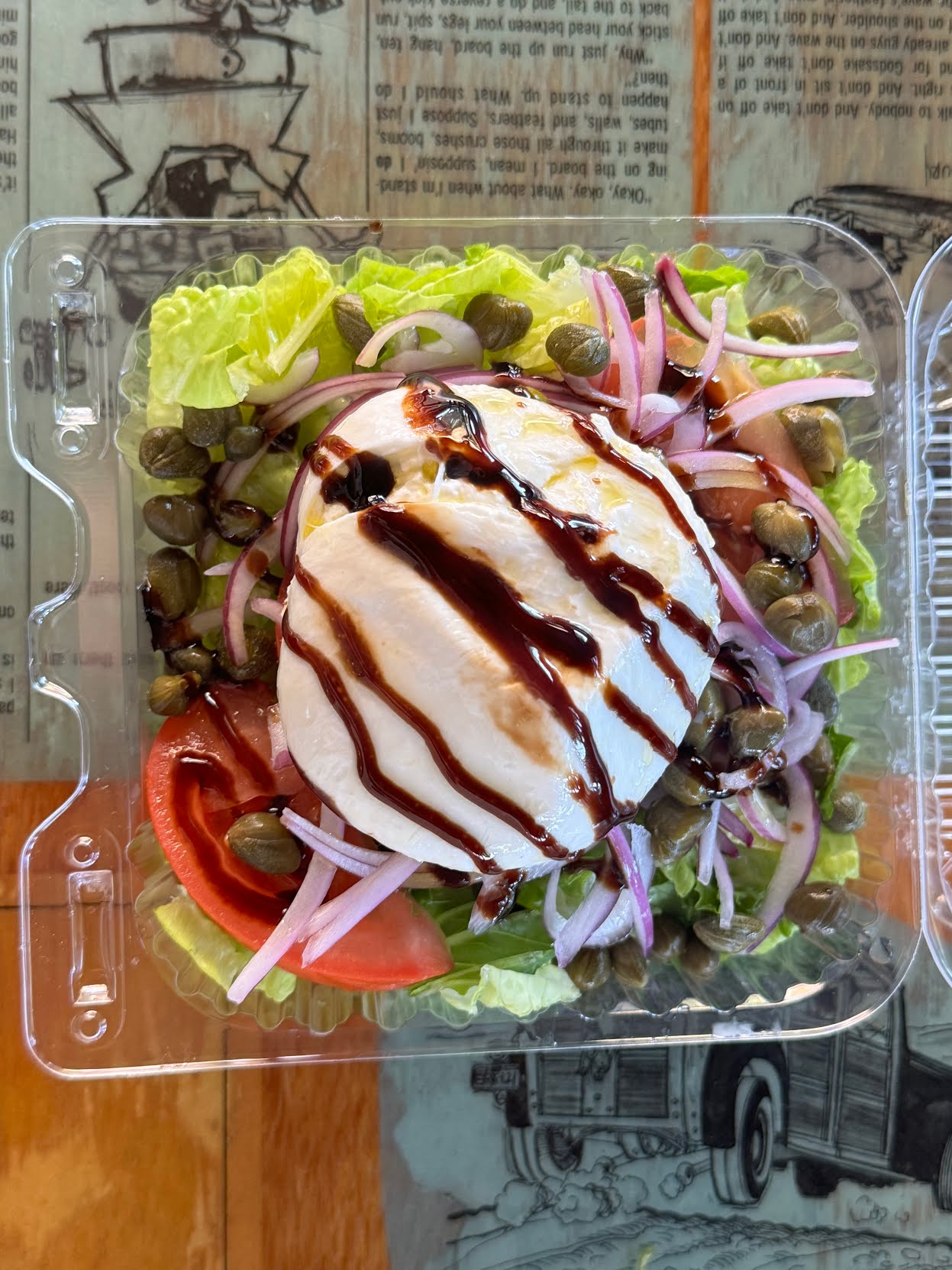 Little Coyote by null