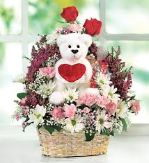 وانتى طيبة كوتا images?q=tbn:ANd9GcT