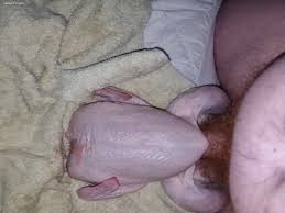 Boys fuck chicken bestialitylovers watch free porn video jpg x Man fucking chicken