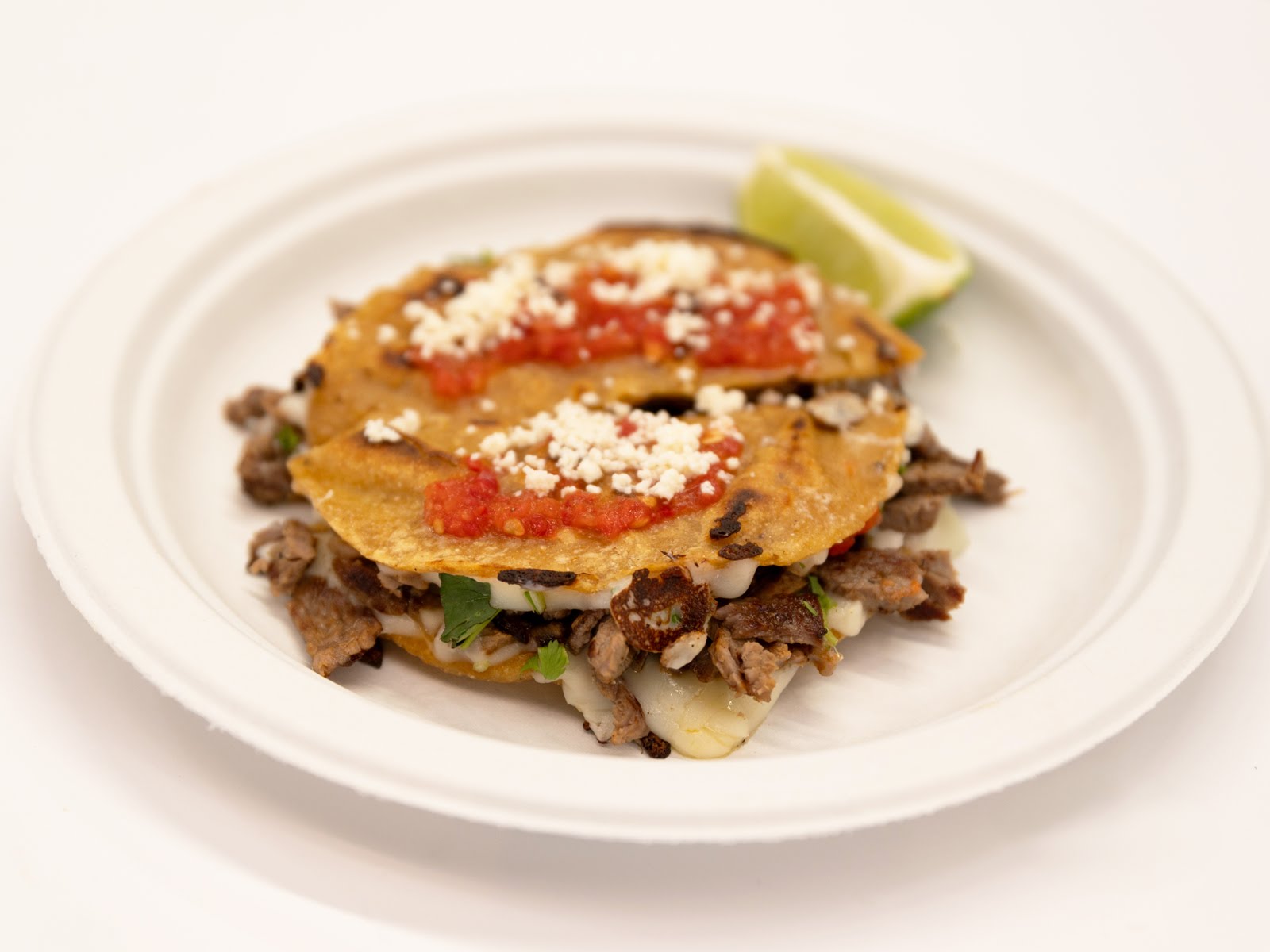 Birria Landia by null