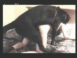 Blonde with twintails fucked hard dog on the couch on dog porn video zoo porn dog sex jpg x Teen fucked by dog