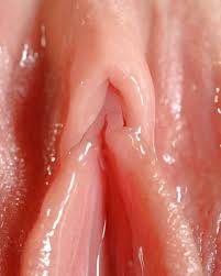 Wet skinny close up gosexpod free tube porn videos jpg x Wet pussy close up