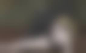 beastiality dog girl sex|Search: dog sex - Slushe