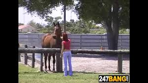 Women fucks horse anal fucking free bestiality and animal porn jpg x Women fucking horses