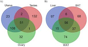 siberian mouses blowjob|Exogenous kisspeptin enhances seasonal reproductive function in male  Siberian hamsters - Bailey - 2017 - Functional Ecology - Wiley Online  Library