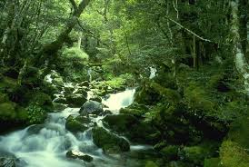 ������ ���� ������ �� ���� ������