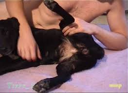 Dog pussy in heat gaybeast rip boy fucks animal jpg x Guy fucks dog pussy