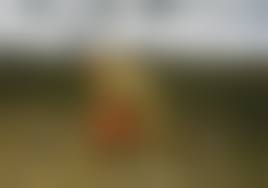 3d rape porn gif|Steam：Wicked Island