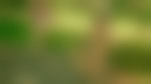 Russianbare nudist teens famili.com 1[[|Naturism - Wikipedia