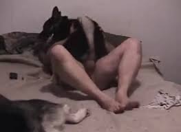 Man fucks animals php x Man fucks animals