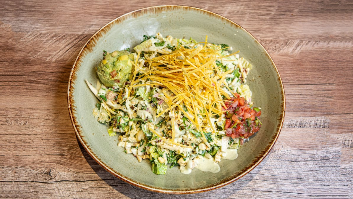 Agave Social by null