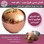 Image result for u202b5 غذاي مهم براي آقايانu202c