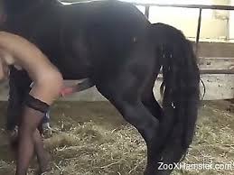 Man fucks horse hot sex with stallions mares and brutal guys and gays jpg x Man fucked by horse
