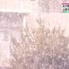 News source: NHK NEWS WEB