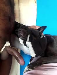 Gia lai fuck dog trong nha gaybeast com siterip jpg x Man fucking dog