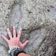 Where to find dinosaur footprints around Australia 