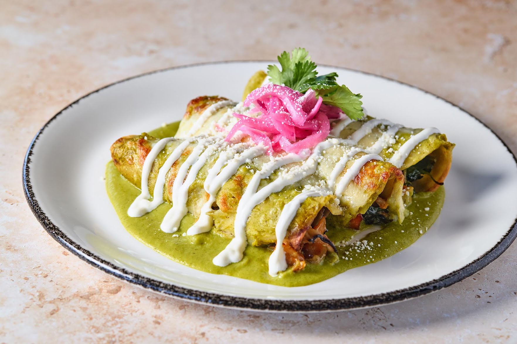 The Painted Burro - Harvard Square by null