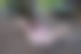 russianbare polina|Russian brunette Polina B shows her nice body outdoors — Russian Sexy Girls