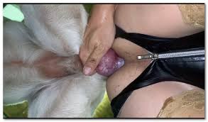 Beastiality porn models animal sex actresses and zoosex porn stars jpg x Beastiality sex