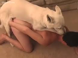 Guy fucks dog from behind hard jpg x Guy fuck dog