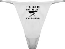 playground panties|PLAYGROUND PALS Underwear Panties 2pk, NWT, Sz XS (4/5) | eBay